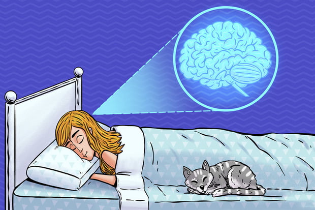 Giấc ngủ và não bộ có mối quan hệ như thế nào